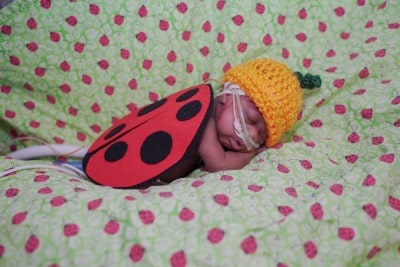 NICU Ladybug Pic 11.29.22